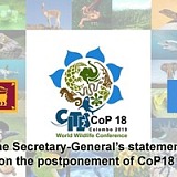 26 04 2019 CITES
