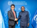 ilo dg